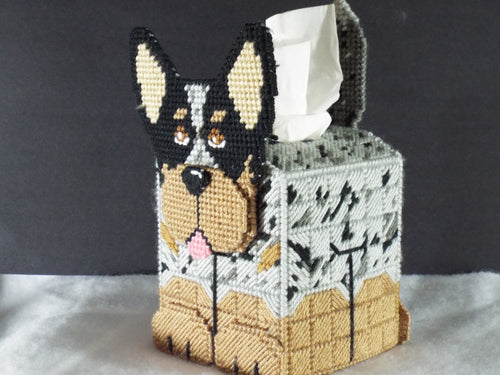 Australian Cattle Dog Tissue Cover