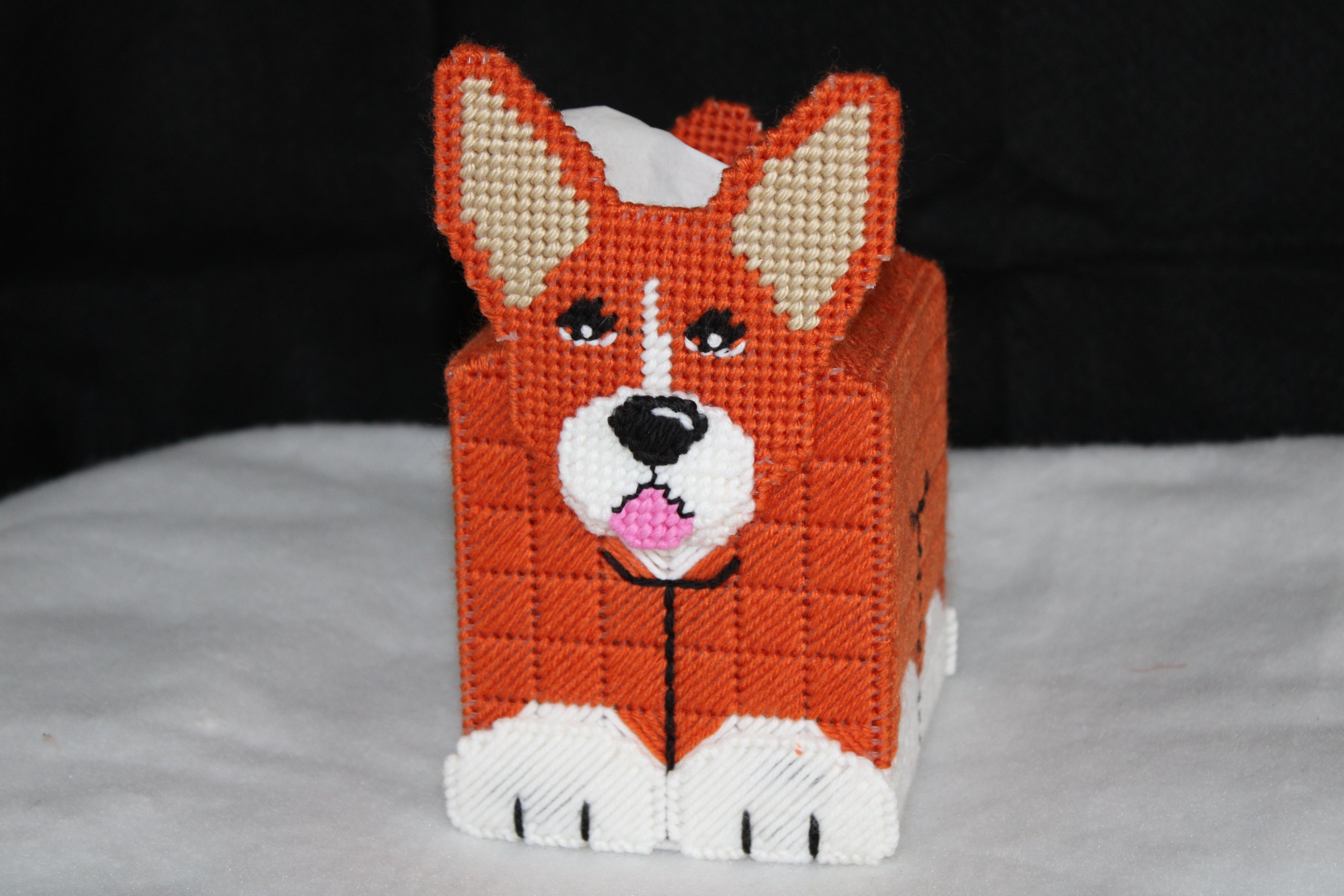 Basenji Tissue Cover