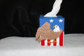 American Bald Eagle Flag Tissue Cover